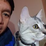 Joseph Sambrano - Instagram Profile Picture of Joseph Sambrano (@jon.snow0825) on Instagram