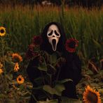 Profile Picture of Allison Hayman (@Allison-Hayman) on Facebook