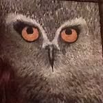 Profile Picture of Lucas Alford (@_naught) on Instagram