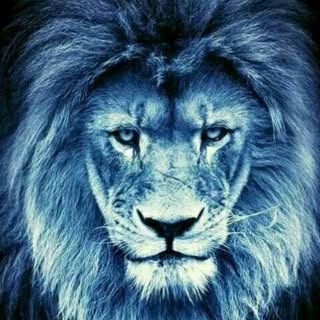 Profile Picture of Joseph filippi (@joseph.filippi) on Instagram