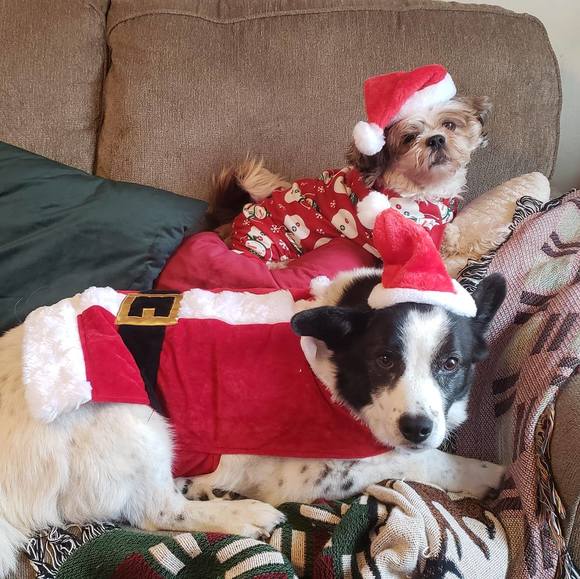 Profile Picture of Lisa Spicer (@lisamwalber) on Poshmark