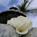 Profile Picture of Danielle Hileman (@toots7976) on Instagram