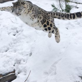 Profile Picture of Jonathan Joines (@jmjoines) on Pinterest