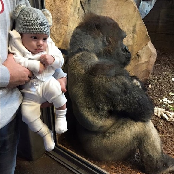 Amir Dayan - Poshmark Profile Picture of Amir Dayan (@titadede) on Poshmark