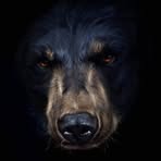 Profile Picture of Jeffrey Wehinger (@jeffrey.wehinger.9) on Facebook