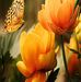 Profile Picture of Sherry McFarland (@sherry.mcfarland.71) on Facebook