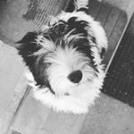 Péter Behán - Instagram Profile Picture of Péter Behán (@peterbehan) on Instagram