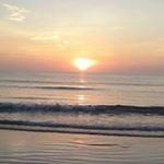 Profile Picture of Scott Elkins (@jenrhea511) on Instagram