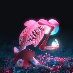 donnagraff4 - Tiktok Profile Picture of donnagraff4 (@donnagraff4) on Tiktok