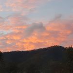 Profile Picture of Emily-Rose Pickering (@emilyrose.pickering.10) on Instagram