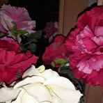 Profile Picture of Shankar Subramaniam (@Shankar-Subramaniam) on Facebook