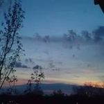 Profile Picture of Joelea Biggers (@joeleabiggers) on Instagram