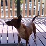 Profile Picture of Tobias Kite (@toby_k07) on Instagram