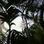 Profile Picture of David Tate (@tate6982) on Instagram