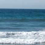 Shawn Vandenberg - Facebook Profile Picture of Shawn Vandenberg (@Shawn-Vandenberg) on Facebook