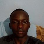 Profile Picture of Peter Lions (@peter_lions) on Instagram