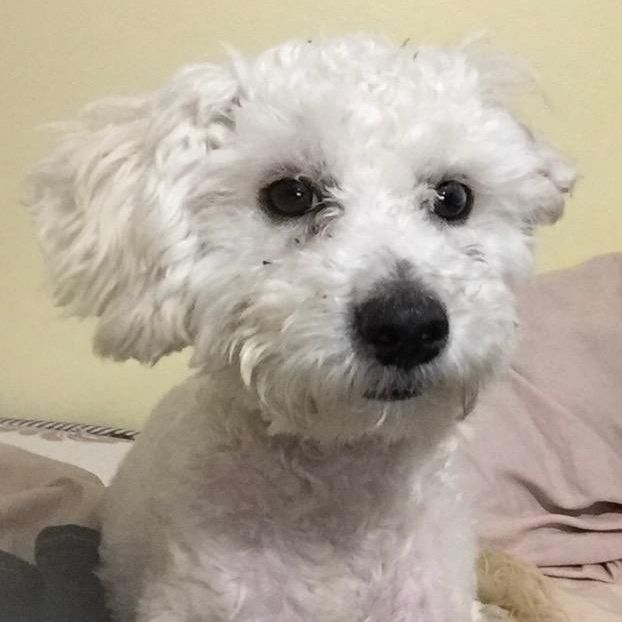 Profile Picture of tonycoco7 (@tonycoco7) on Tiktok