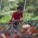 Profile Picture of Umang Patel (@umangpatel39501) on Pinterest