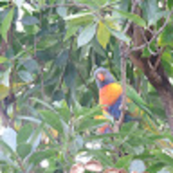 Stephanie Jade - Poshmark Profile Picture of Stephanie Jade (@stephjade2) on Poshmark