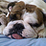 Profile Picture of Mina Kim (@minahkim311) on Flickr