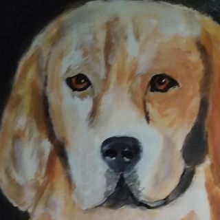 Profile Picture of Jan Steffers (@jan.steffers) on Facebook