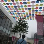 Profile Picture of 김대호 (@anydh83) on Instagram