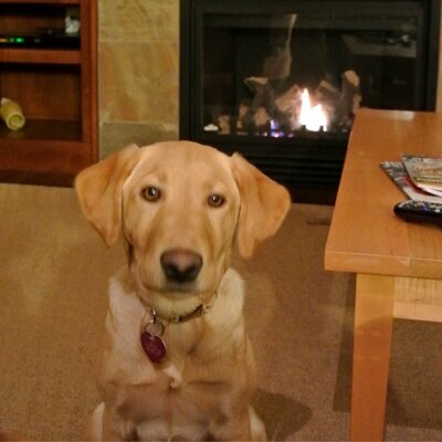 Erik Nickel - Twitter Profile Picture of Erik Nickel (@eriknickel) on Twitter