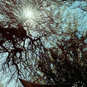 Profile Picture of Jesus Taboada (@jesustaboada3289) on Youtube