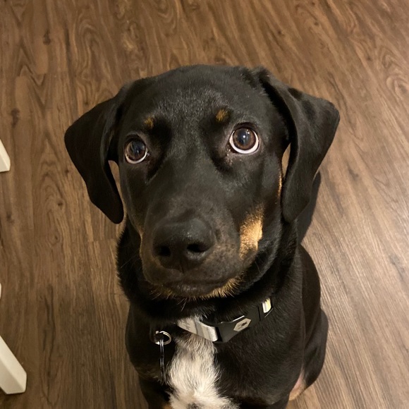 Profile Picture of Christopher Turner (@christophert346) on Poshmark