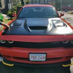 Profile Picture of DR.HOWARD BRUDNER (@dr.howard.brudner_) on Instagram