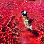 Наталья и Давид Зиганшины - Instagram Profile Picture of Наталья и Давид Зиганшины (@natashaidavid) on Instagram