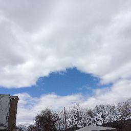 Profile Picture of Paul Trzcinski (@pauly4D) on Twitter