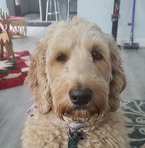 Profile Picture of Jerry Stopar (@jerry.stopar) on Facebook