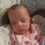 Lynn Finch - Instagram Profile Picture of Lynn Finch (@lynn_finch) on Instagram