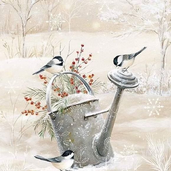 Profile Picture of Cindy Stevens (@abbydale17) on Poshmark