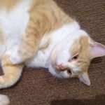 David Shumway - Instagram Profile Picture of David Shumway (@shumway.d) on Instagram