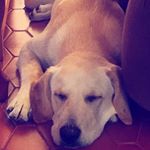 Profile Picture of Katrinacaicedo (@katrinacaicedo) on Instagram