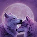 Profile Picture of Cody Huggins (@huggins5592) on Instagram