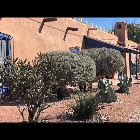 Profile Picture of Michelle Maclauchlan (@maclausa) on Poshmark