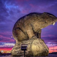 Profile Picture of Byron Dyck (@byron-dyck-1) on Quora