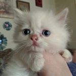 Profile Picture of Paul F. Hartsock (@paulf.hartsock) on Instagram
