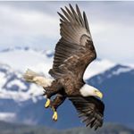 方远 - Instagram Profile Picture of 方远 (@alex.yuanfang) on Instagram