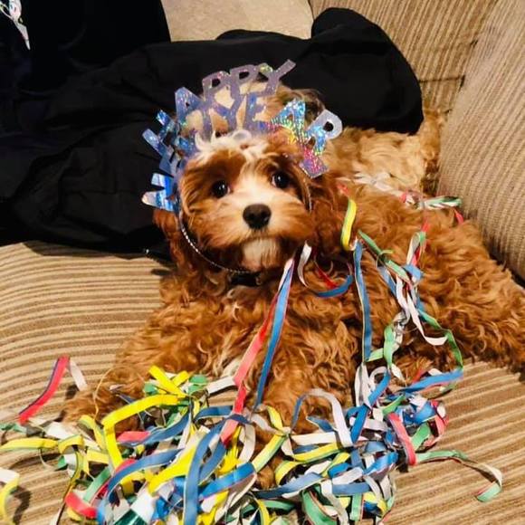 Profile Picture of Nikki Bowmar (@nikkibowmar) on Poshmark