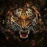 Profile Picture of Phil Hilton (@buryphil) on Instagram