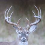 Profile Picture of Hayden Pearce (@hayden.pearce.393) on Instagram