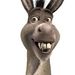Profile Picture of Aaron Keesee (@aaronkeesee5) on Pinterest