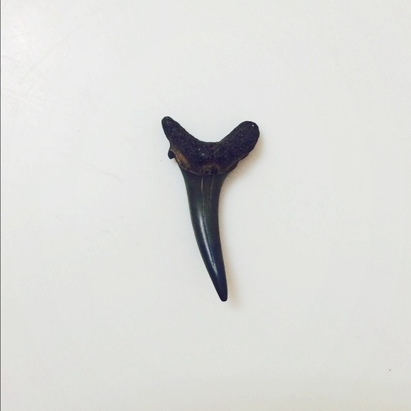 Tanner Smith - Poshmark Profile Picture of Tanner Smith (@tanner_smith) on Poshmark