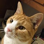 Profile Picture of Mark Rabin (@markrabin) on Instagram