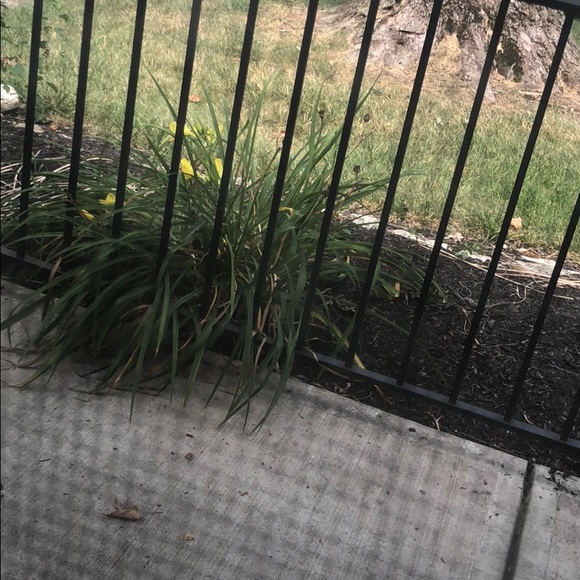 Kondale Chewaka - Poshmark Profile Picture of Kondale Chewaka (@kondalechewaka) on Poshmark