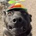 Profile Picture of Jimmy Apple (@jimmy.apple.5473) on Facebook